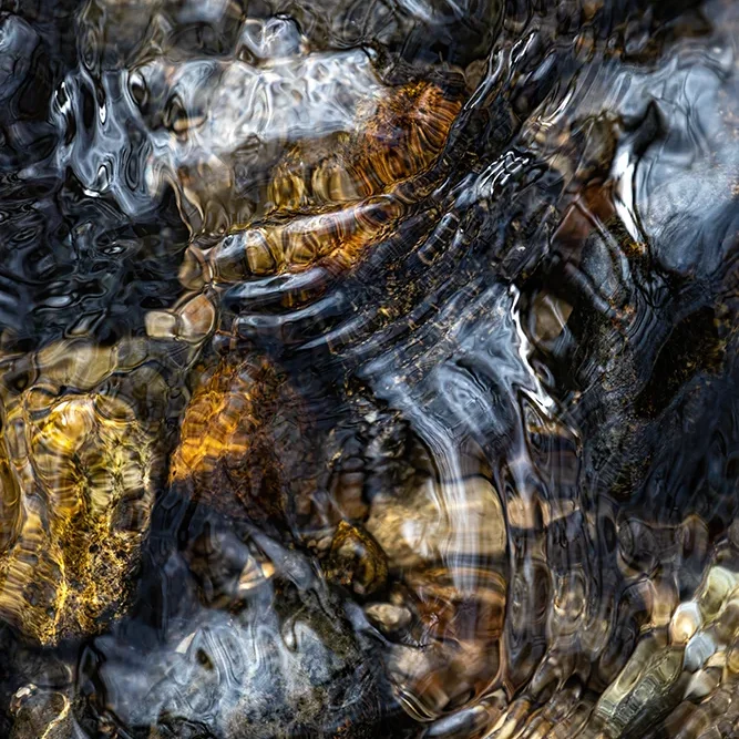 <strong>Fluides #1411 - </strong> <small>© Rémy SALAÜN</small>