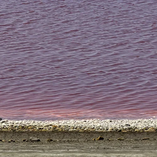 <strong>Paysages #1138 - Salin-de-Giraud | 13</strong> <small>© Rémy SALAÜN</small>