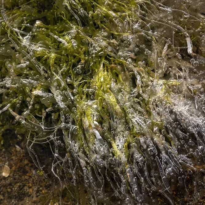 <strong>Vue Sur Mer #715 - Erquy | 22</strong> <small>© Rémy SALAÜN</small>