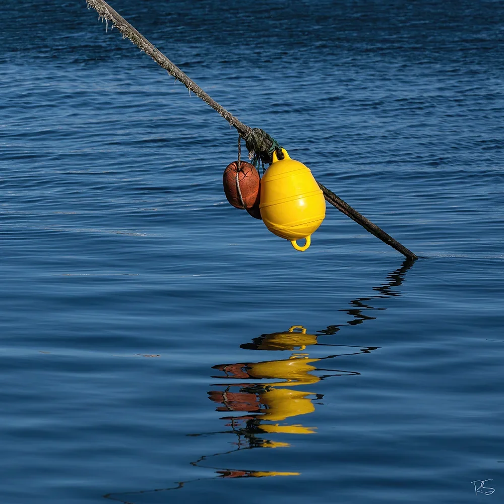 <strong>Reflets #375 - Sète | 34</strong> <small>© Rémy SALAÜN</small>